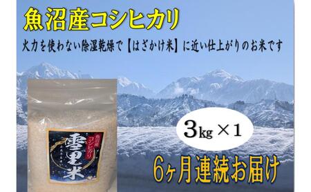 生産者直送！ 魚沼産コシヒカリ 【雪里米 ふるさとまい】 精米 3kg 6ヶ月 連続お届け （ 米 定期便 コシヒカリ 魚沼産 雪里米 ふるさと米 白米 お米 こめ コメ こしひかり 魚沼 半年 6回 お楽しみ ） 