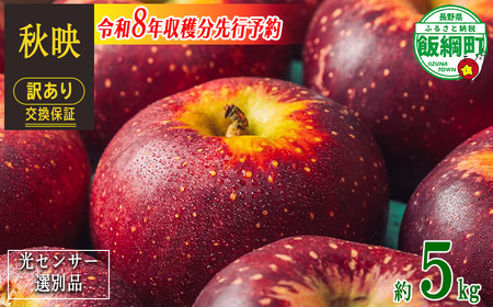 【 感謝りんご / 光センサー選別品 】 りんご 秋映 訳あり 5kg （ 12玉 〜 25玉 ） 交換保証 ながの農業協同組合 2026年10月上旬頃から2026年10月下旬頃まで順次発送予定 令和8年度収穫分 傷 不揃い リンゴ 林檎 果物 フルーツ 信州 長野  予約 長野県 飯綱町 [1202]