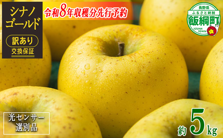 【 感謝りんご / 光センサー選別品 】 りんご シナノゴールド 訳あり 5kg （ 12玉 〜 25玉 ） 交換保証 ながの農業協同組合 沖縄県への配送不可 2026年11月上旬頃から2026年11月下旬頃まで順次発送予定 令和8年度収穫分 傷 不揃い リンゴ 林檎 果物 フルーツ 信州 長野 予約 長野県 飯綱町 [1208]