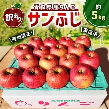 【訳あり】青森県産りんご「サンふじ家庭用」約5kg　産地直送!_果物・フルーツ りんご  リンゴ 林檎_【配送不可地域：離島】【1321109】