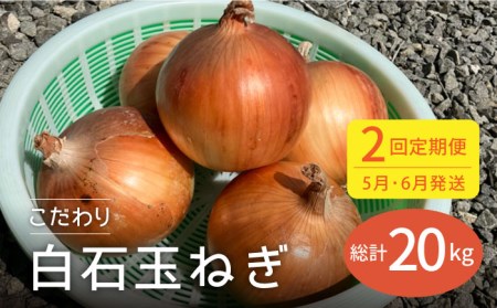 【2回定期便】5月6月発送 白石玉ねぎ 10kg / 玉ねぎ [IAW007]