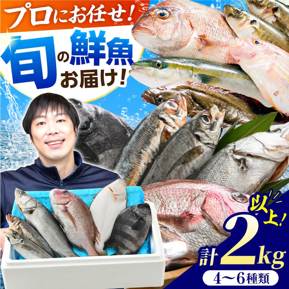 【加福鮮魚】「若狭小浜湾産地直送」旬の天然鮮魚お任せセット！ 計2kg以上 地魚 下処理済み 刺身 煮魚 小浜市 / 加福鮮魚【配送不可地域：北海道、北東北（秋田、青森、岩手）、九州、沖縄、離島】  [BFBC007] 