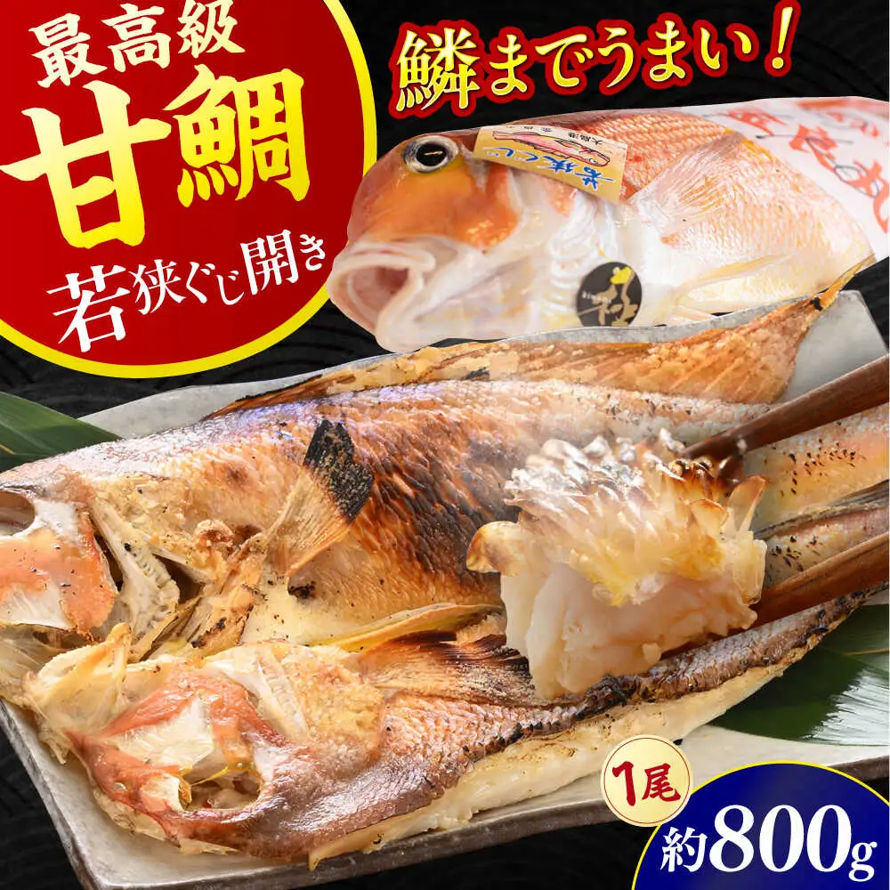 【加福鮮魚】若狭ぐじ 一汐開き 1尾 800g　甘鯛 タイ アカアマダイ 焼き魚 高級 小浜市 / 加福鮮魚【配送不可地域：北海道・沖縄・離島】  [BFBC001] 