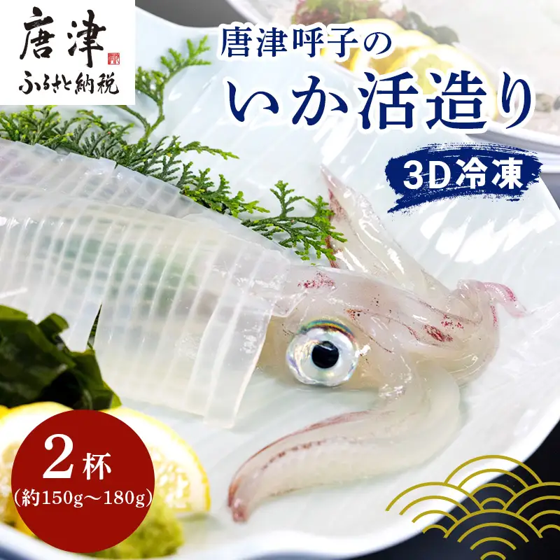 『先行予約』唐津呼子産いか活造り 2杯(約150g～180g×2) 急速冷凍 新鮮そのまま食卓へ！※水揚げあり次第6月以降順次発送させていただきます。