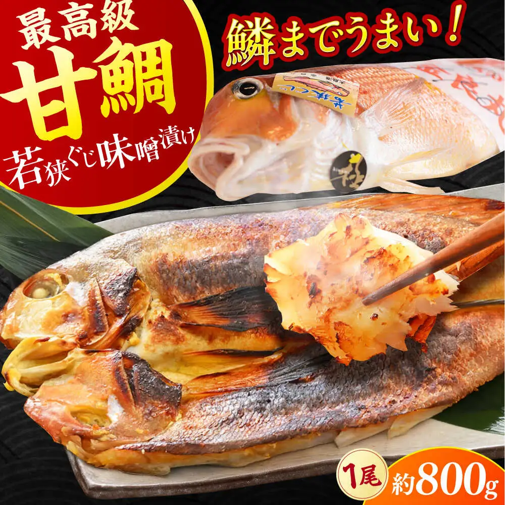 【加福鮮魚】若狭ぐじ 味噌漬け開き 1尾 800g 甘鯛 タイ アカアマダイ 高級  小浜市 / 加福鮮魚 【配送不可地域：北海道・沖縄・離島】 [BFBC002] 
