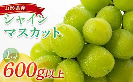 【令和8年産先行予約】 シャインマスカット 600g以上 (1房 秀) 《令和8年9月頃～発送》 『南陽中央青果市場』 マスカット ぶどう 果物 フルーツ デザート 山形県 南陽市 [1206]