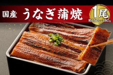 鹿児島産 うなぎ の 蒲焼き 1本 約150～180g 老舗130年の味 鰻