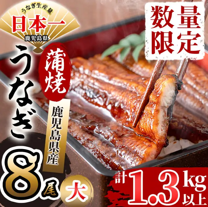 鹿児島県産 伊崎田のうなぎ蒲焼 大＜170g以上＞× 8尾(計1.3kg以上) うなぎ 鰻 ウナギ 国産 鹿児島県産 九州産 蒲焼き 冷凍 うな重 ひつまぶし e4-005