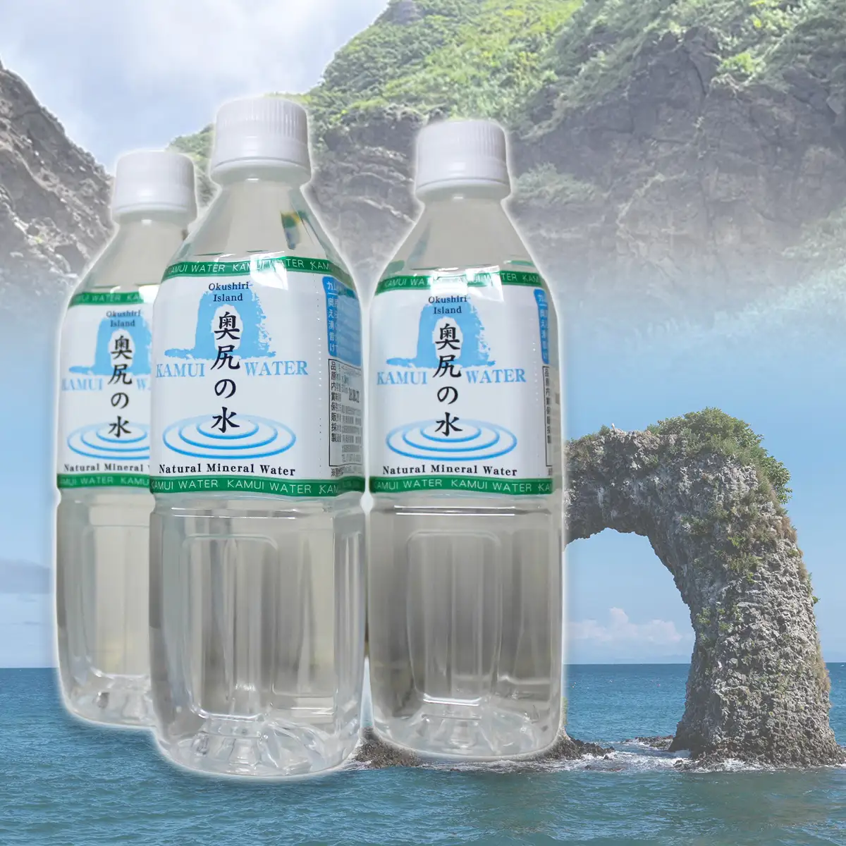 ブナの原生林が育む 天然水 ～KAMUI WATER～「奥尻の水」500ml 24本 軟水 飲料水 水 ミネラルウォーター ナチュラルウォーター ナチュラルミネラルウォーター ペットボトル 名水 奥尻島 天然湧水 備蓄水 防災備蓄 まとめ買い | 北海道 奥尻町 送料無料