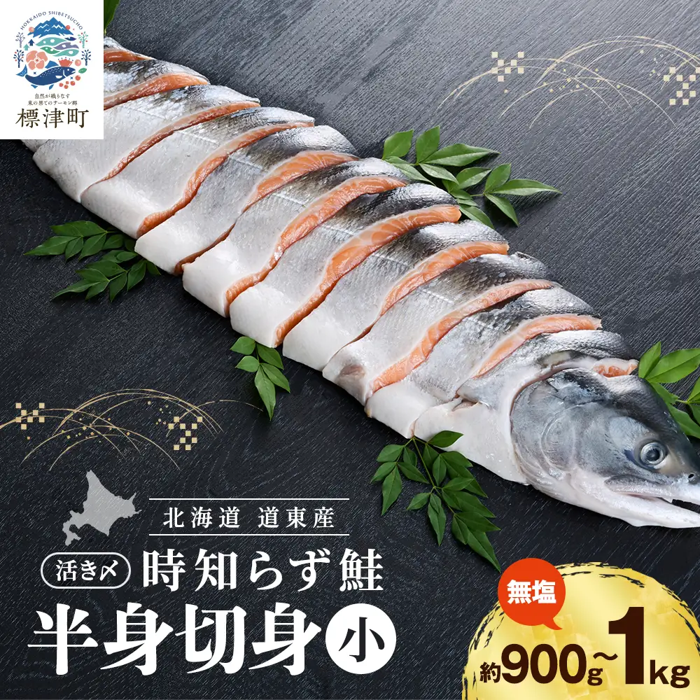 北海道道東産　活き〆時知らず鮭半身切身(小)約900g-1kg 北海道 人気 おすすめ さけ 天然_サケ しゃけ ときしらず トキシラズ 冷凍 真空パック 個包装 小分け 鮭切身 切り身 無塩 サーモン_【配送不可地域：離島】【AF009】