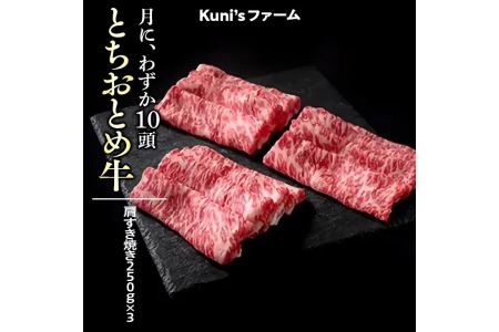 とちおとめ牛　肩すき焼き250g×3 牛肉 すきやき すき焼き◇