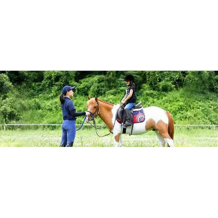 乗馬体験ご優待券 (168542-40037404)