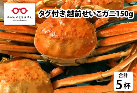 タグ付き越前せいこガニ（150g前後）× 5杯　カニ 越前ガニ