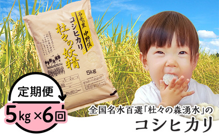 43-12【6ヶ月連続お届け】杜々の妖精コシヒカリ5kg（全国名水百選栃尾産）