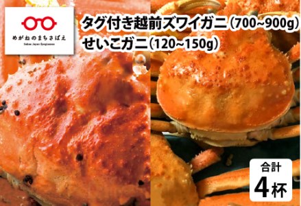 タグ付き越前ズワイガニ× 1杯・せいこガニ× 3杯 のセット　カニ 越前ガニ