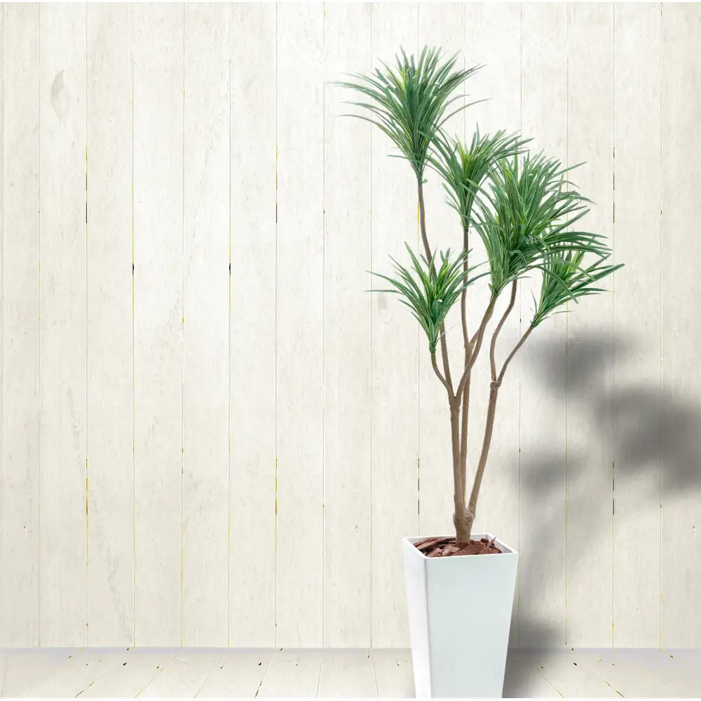 人工観葉植物　青年の樹ユッカ７本枝　白樹脂鉢Lサイズ付