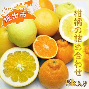 今が旬の柑橘勢揃い！坂出産の柑橘詰め合わせセット