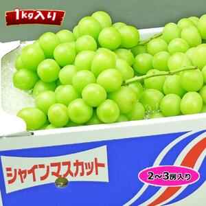 《2026年発送》特秀品シャインマスカット1kgの詰め合わせ【数量限定】