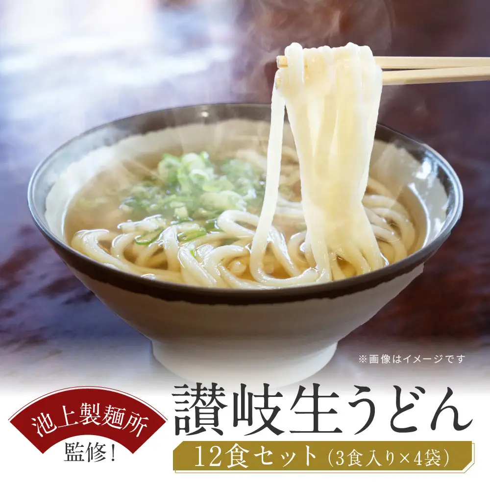 讃岐生うどん12食入（1袋3食入×4袋）＊鎌田醤油だし醤油付＊  池上製麺所監修！｜うどん