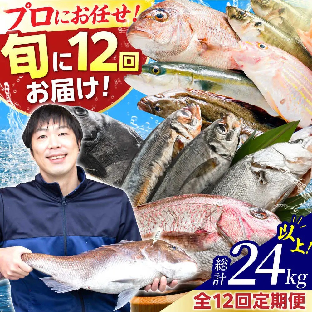 【定期便】全12回(毎月発送)【加福鮮魚】「若狭小浜港産地直送」旬の天然鮮魚お任せセット！ 小浜市 / 加福鮮魚【配送不可地域：北海道、北東北（秋田、青森、岩手）、九州、沖縄、離島】 [BFBC017] 
