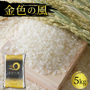 米 5kg 金色の風 白米 お米 1等米 おこめ ごはん 精米 ご飯 朝食 昼食 夕食 国産 岩手県 大船渡市