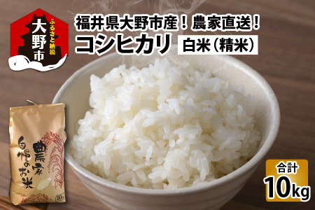 【令和5年産】福井県大野市産 コシヒカリ 白米 精米 10kg 農家直送