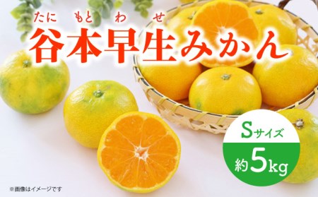 【先行予約】極早生（谷本早生） みかん Sサイズ 約5kg ー2026年10月より発送ー 長与町/山口農園 [EBI006]  みかん 柑橘 果物 くだもの フルーツ 季節限定 数量限定 温州みかん ミカン 5kg 先行予約 産地直送 長崎県産 長与町