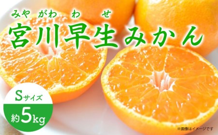 【先行予約】早生（宮川早生） みかん Sサイズ 約5kg ー2026年11月より発送ー 長与町/山口農園 [EBI009]  みかん 柑橘 果物 くだもの フルーツ 季節限定 数量限定 温州みかん ミカン 5kg 先行予約 産地直送 長崎県産 長与町
