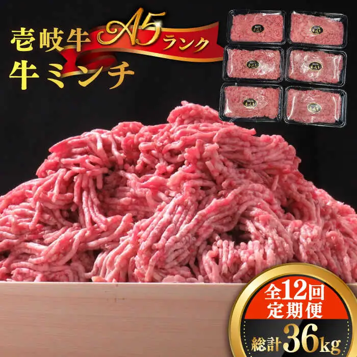 【全12回定期便】壱岐牛 A5ランク 牛ミンチ 約500g×6 《壱岐市》【KRAZY MEAT】 [JER048] 小分け ミンチ 3kg 挽き肉 ひき肉 牛肉 赤身