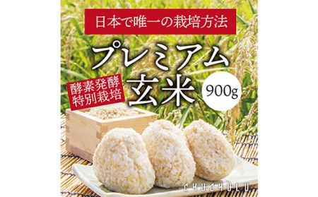 酵素発酵玄米 900g×2 F20E-812
