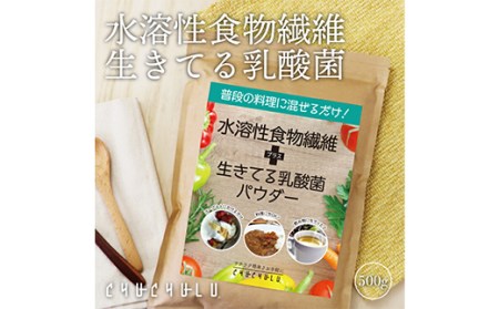 水溶性食物繊維＋生きてる乳酸菌パウダー 500g×2 F20E-816