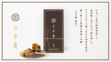 278 万羊羹 飯沼