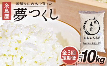 【全3回定期便】 糸島産 夢つくし 10kg × 3回（月1回）糸島市 / 糸島王丸農園 ( 谷口汰一 )【いとしまごころ】[AAZ006]