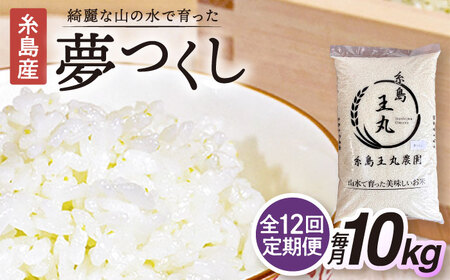 【全12回 定期便】 糸島産 夢つくし 10kg × 12回（月1回）糸島市 / 糸島王丸農園 ( 谷口汰一 )【いとしまごころ】[AAZ008]