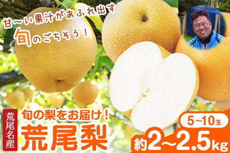 先行予約 目野果実直売所 荒尾梨 約2-2.5kg 旬の梨