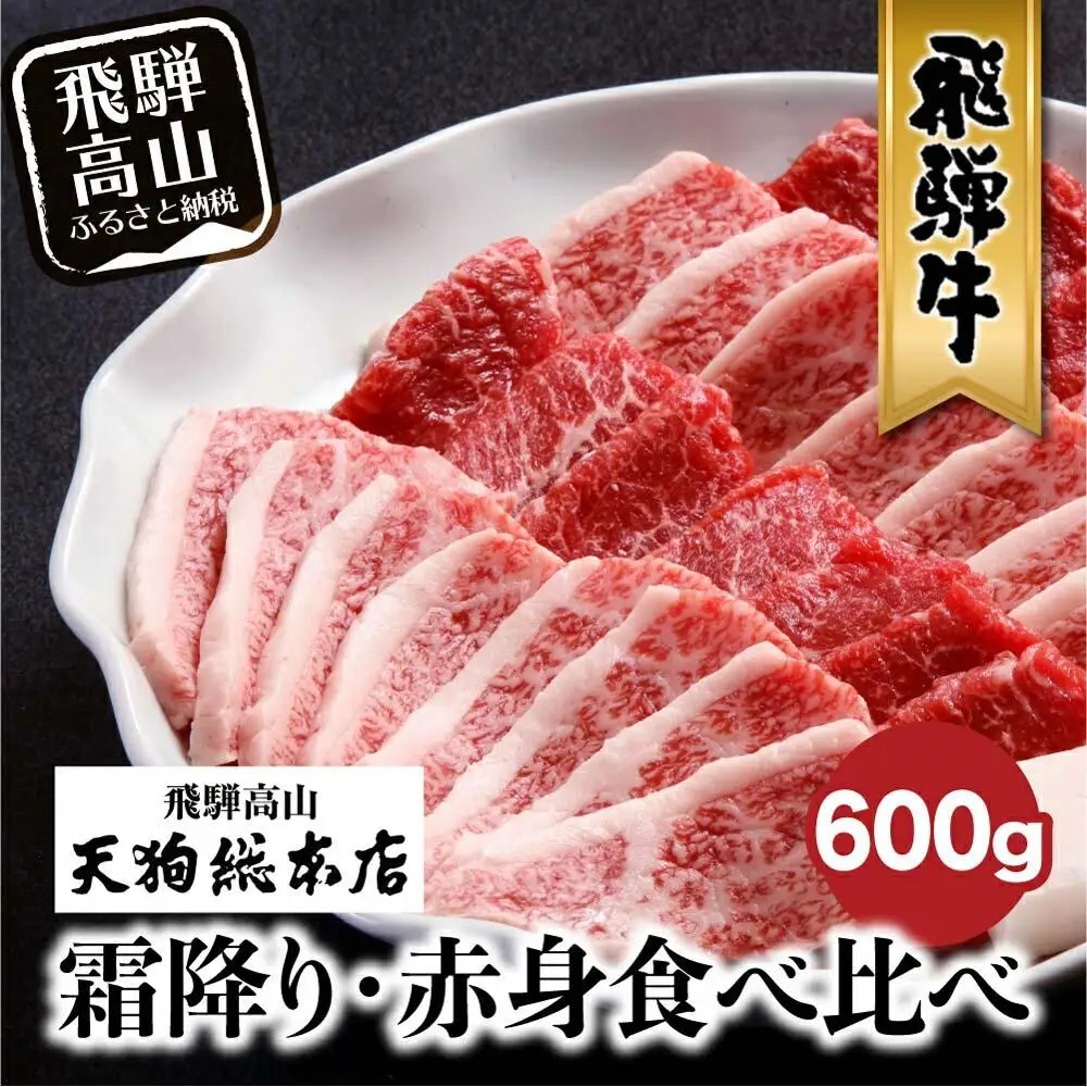 A5 飛騨牛 焼肉 盛り合わせ ( 赤身 & 霜降り)  600g 焼肉 BP007