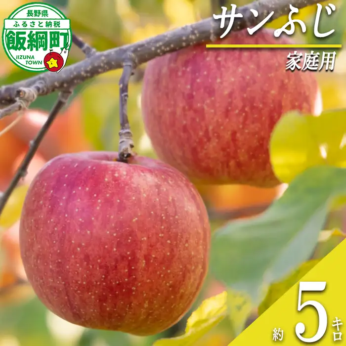 【 りんごの王様 / サンふじ 】 りんご サンふじ 家庭用 5kg 2026年12月上旬頃から2027年2月下旬頃まで順次発送予定 ふるさと振興公社 リンゴ 林檎 長野県 飯綱町 [0288]