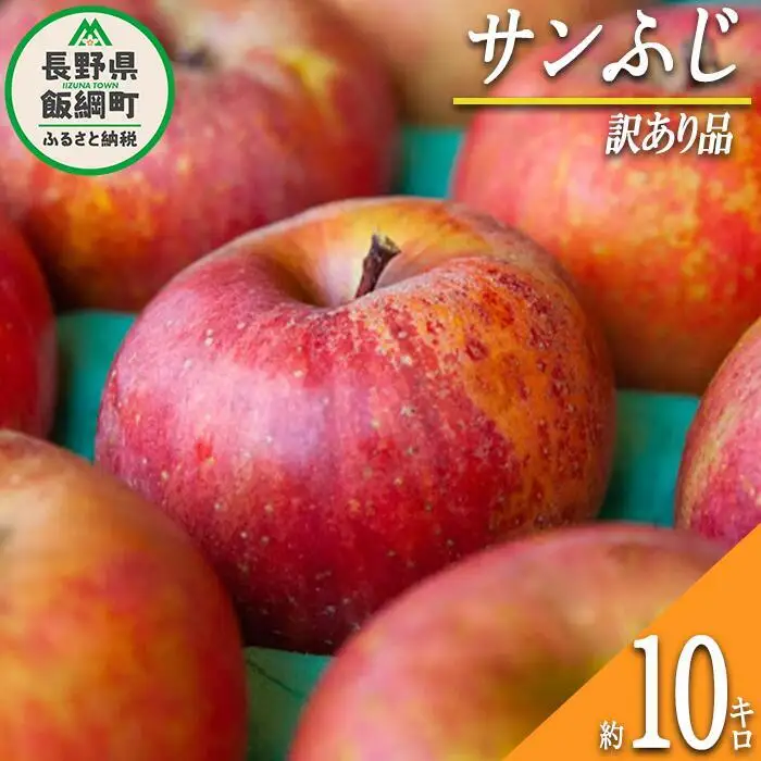 【 訳あり品 】 りんご サンふじ 訳あり 10kg 2026年12月上旬頃から2027年2月下旬頃まで順次発送予定 ふるさと振興公社 リンゴ 林檎 長野県 飯綱町 [0289]