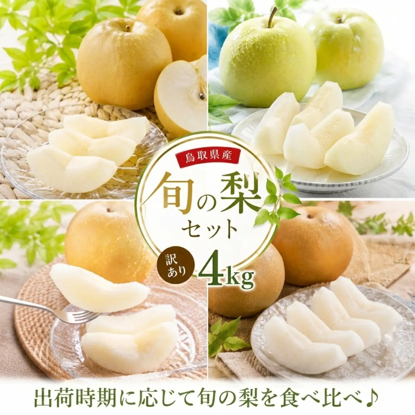 Y047【訳あり】鳥取県産旬の梨セット 4kg
