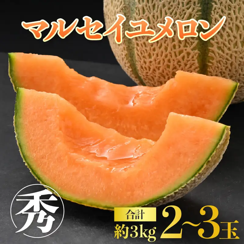 【先行予約】佐藤農園のマルセイユメロン 約3kg前後《秀品》(2～3玉入）深みのある甘さ とろける濃厚な赤肉！農家直送 有機肥料 低農薬 ※2027年5月下旬～6月末の間に順次発送 [aw069-a002]