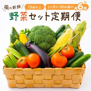 定期便 旬の新鮮野菜セットB【年6回】たっぷり13品以上【8005-2】