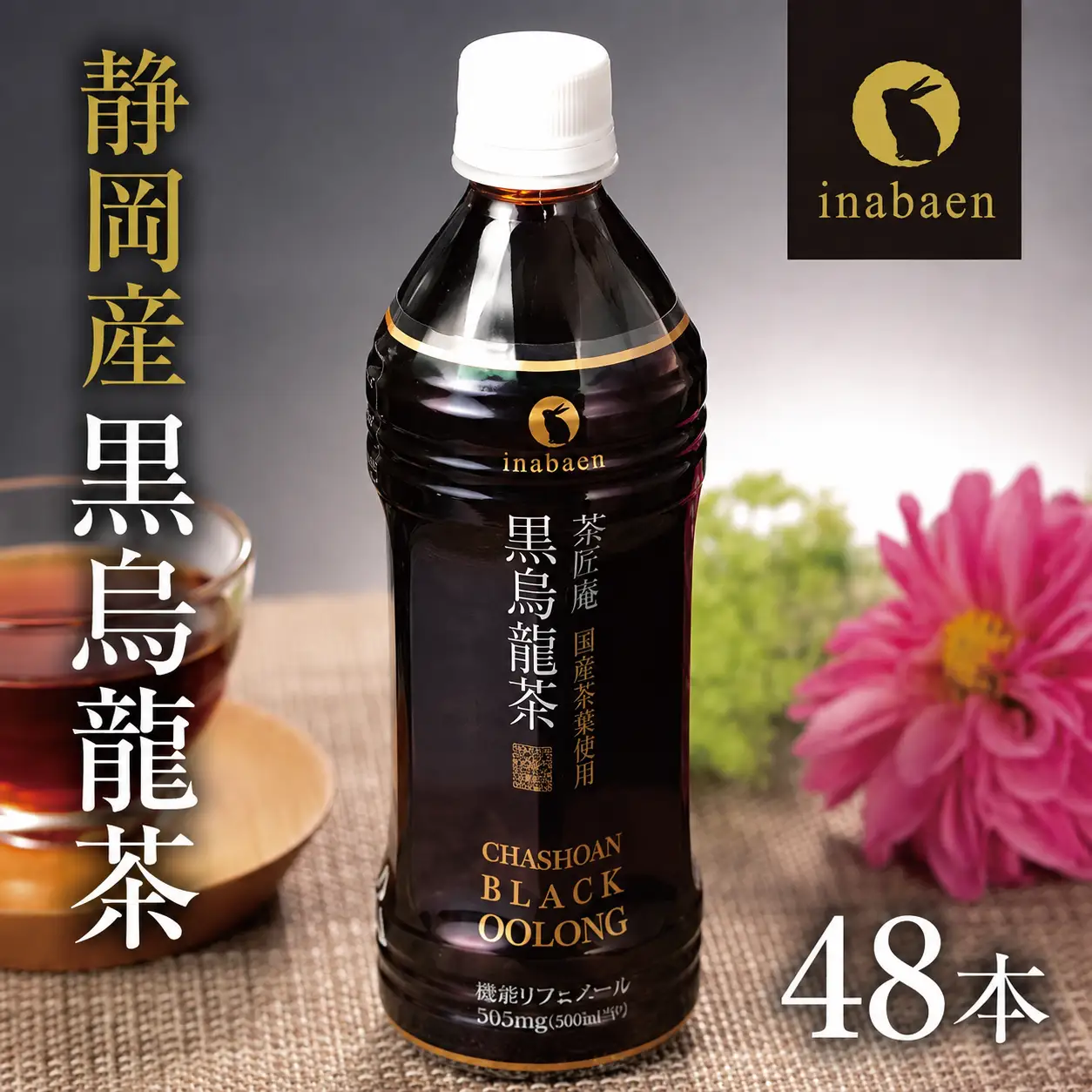 【黒烏龍茶】 静岡県産 黒烏龍茶 計48本 500ml × 24本 2ケース いなば園