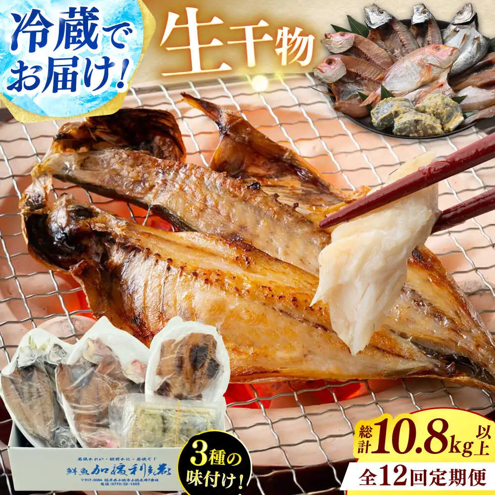 『定期便』【加福鮮魚】 季節の旬の魚をお届け！"生"干物厳選詰め合わせ　全12回(毎月発送)一夜干し 醤油干し 味噌漬け 塩干し 小浜市 / 加福鮮魚【配送不可地域：北海道・沖縄・離島】  [BFBC014] 