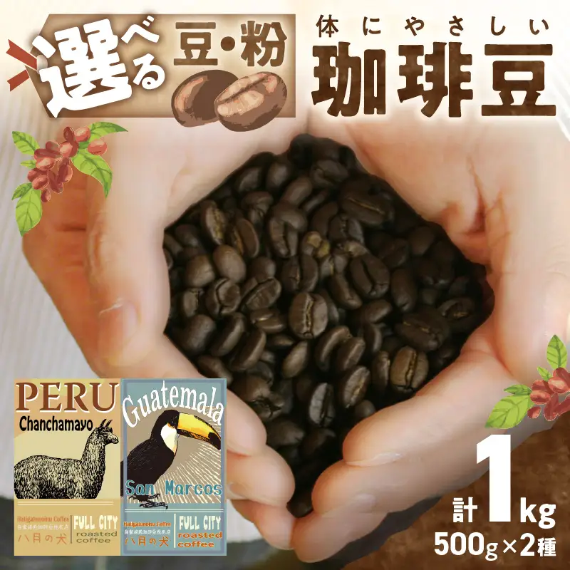 コーヒー豆 飲み比べ 500gx2種 コーヒー豆