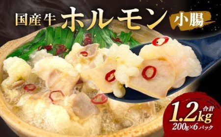 国産 牛ホルモン 小腸 200g×6パック 計1.2kg ホルモン 冷凍