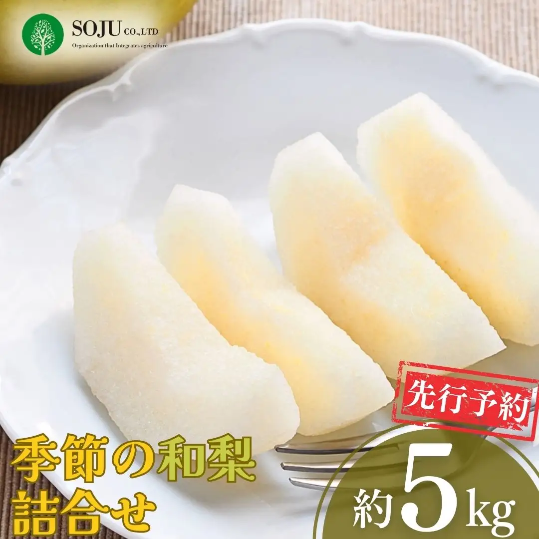 先行予約 季節の和梨詰合せ 約5kg 令和8年度 新潟県 三条市産