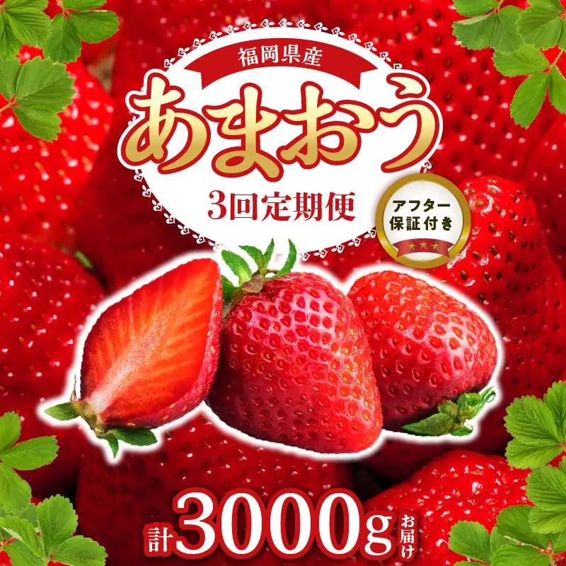 【2027年1月以降お届け】あまおう 約250g 4パック×3回 計12パック【定期便 3回】_ いちご 果物 フルーツ〔Fi301〕