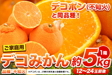 ご家庭用 デコみかん 約5kg 12～24玉前後《2027年2月上旬-4月上旬頃出荷》デコポン（不知火）と同品種 熊本県産 熊本県 長洲町 訳あり