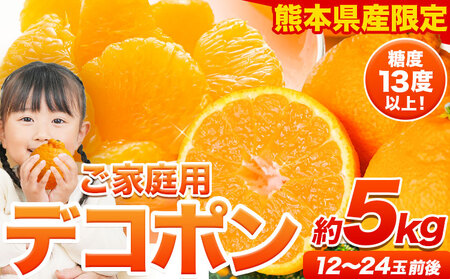 先行予約 デコポン 約5kg ご家庭用 デコポン 訳あり《2027年2月上旬-4月上旬頃出荷》