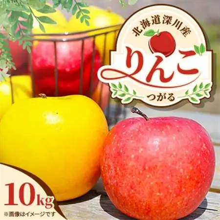 【令和8年産先行受付】北海道深川産りんご(つがる)10kg【ふるさと納税】【配送不可地域：離島】【1298286】